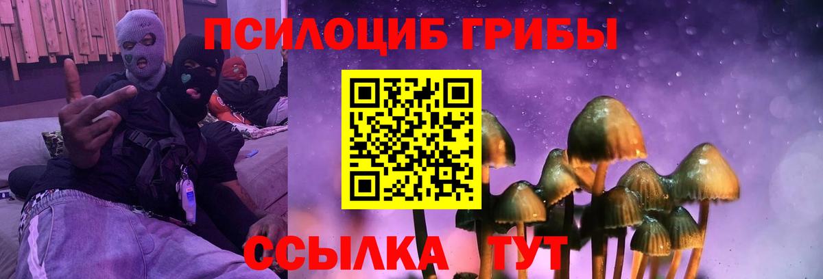 Псилоцибиновые грибы GOLDEN TEACHER Назрань
